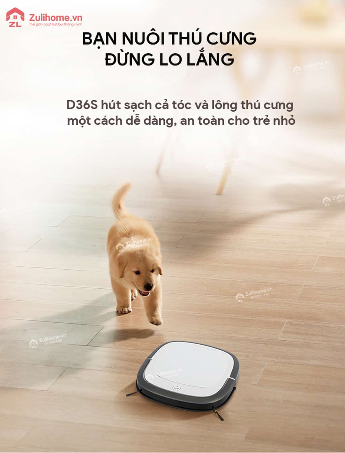 Ecovacs Deebot D36S 7 Ecovacs Deebot D36S hút sạch mọi bụi bẩn cứng đầu