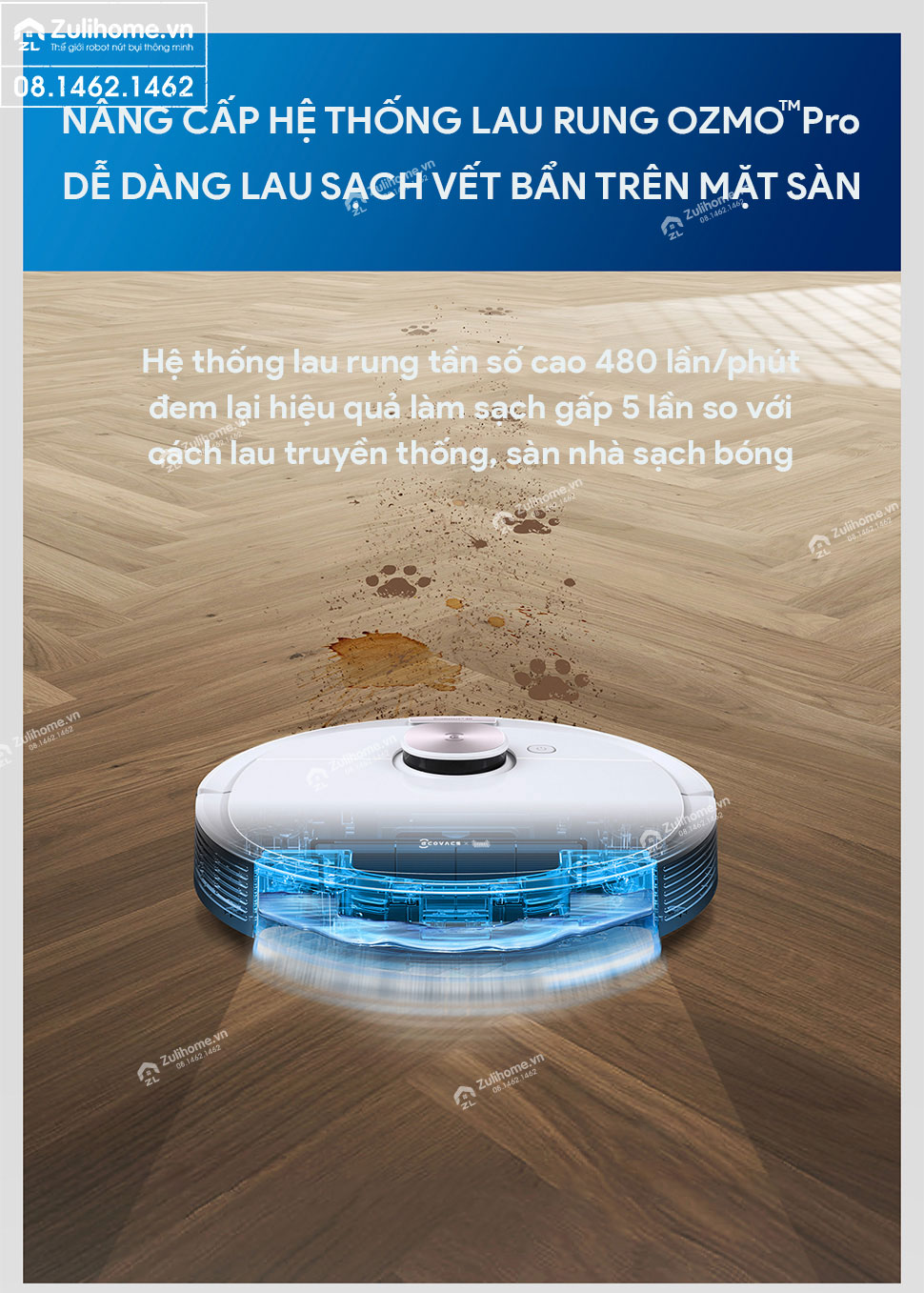 Robot Hút Bụi Lau Nhà Ecovacs Deebot T8 Max 9 robot hut bui ecovacs deebot t8 zulihome 8